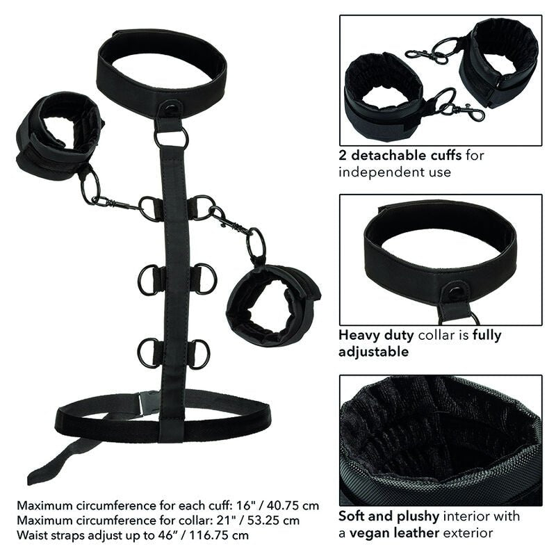 CALEXOTICS - BOUNDLESS COLLAR BODY RESTRAINT - Kink&Play
