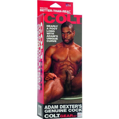 CALEXOTICS - COLT ADAM DEXTERS COCK - Kink&Play