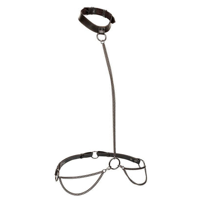 CALEXOTICS - EUPHORIA CHAIN HALTER COLLAR & LEASH PLUS SIZE - Kink&Play