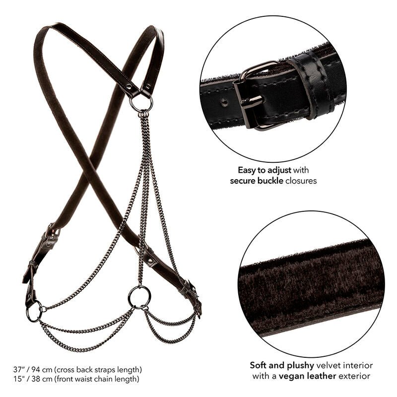 CALEXOTICS - EUPHORIA MULTICHAIN HARNESS PREMIUM - Kink&Play