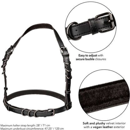 CALEXOTICS - EUPHORIA PLUS SIZE HALTER BUCKLE HARNESS BLACK - Kink&Play