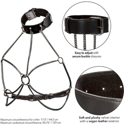CALEXOTICS - EUPHORIA PLUS SIZE MULTI CHAIN COLLAR HARNESS - Kink&Play