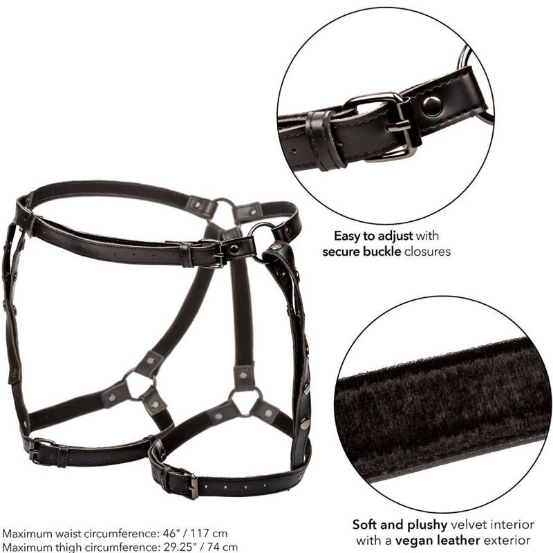 CALEXOTICS - EUPHORIA PLUS SIZE RIDING THIGH HARNESS - Kink&Play