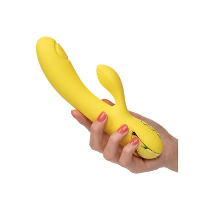 CALEXOTICS - SAN DIEGO SEDUCTION - Kink&Play