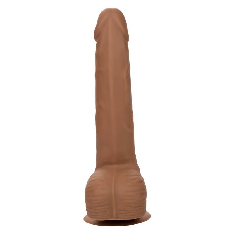 CALEXOTICS - SILICONE STUDS 20.32 CM BROWN - Kink&Play