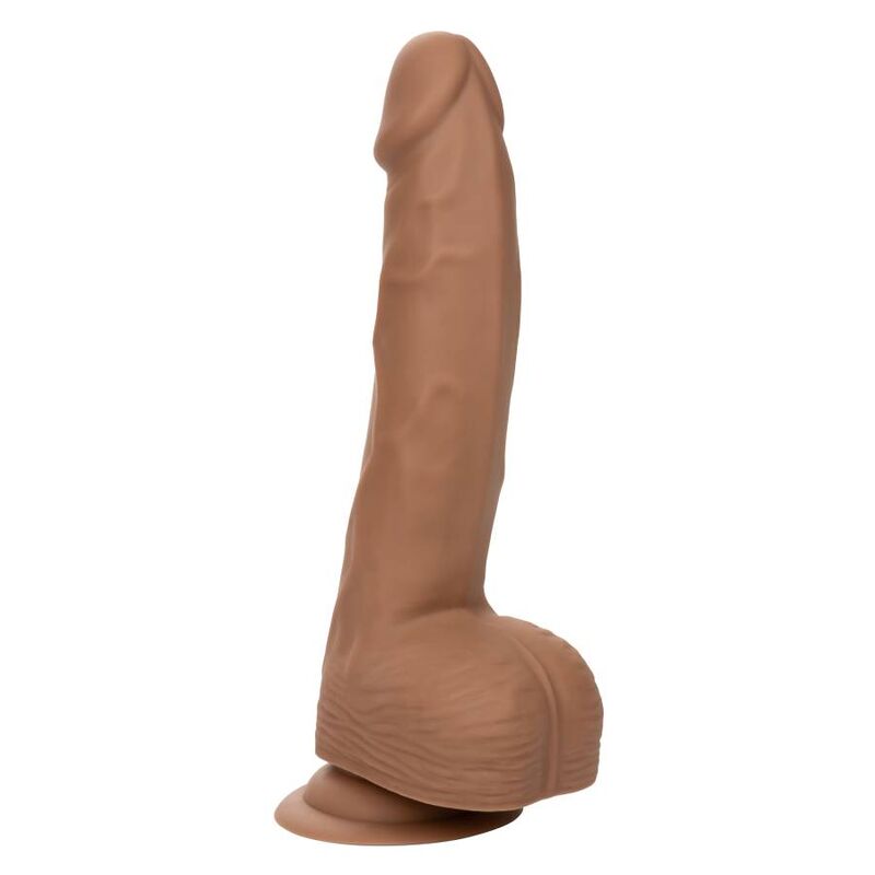 CALEXOTICS - SILICONE STUDS 20.32 CM BROWN - Kink&Play