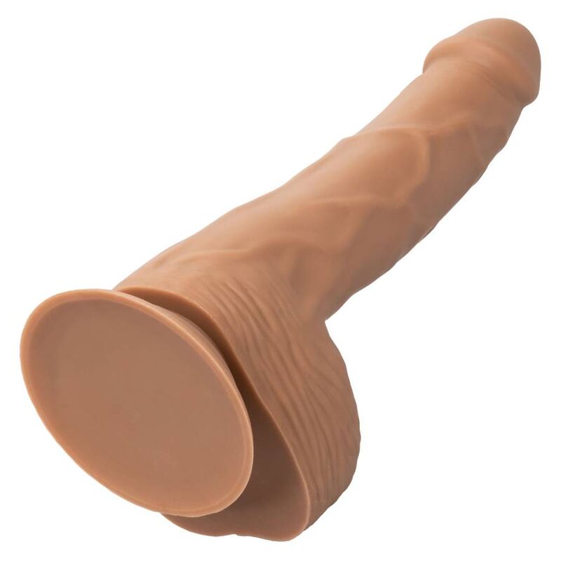 CALEXOTICS - SILICONE STUDS 20.32 CM BROWN - Kink&Play