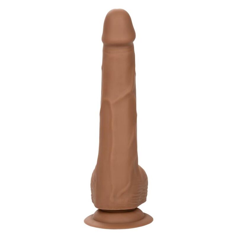 CALEXOTICS - SILICONE STUDS 20.32 CM BROWN - Kink&Play