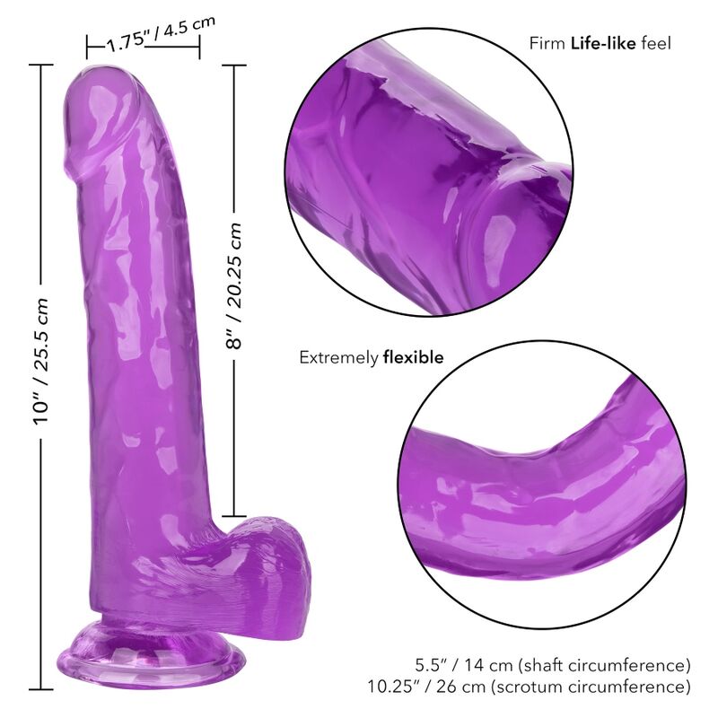 CALEXOTICS - SIZE QUEEN DILDO PURPLE 20.3 CM - Kink&Play