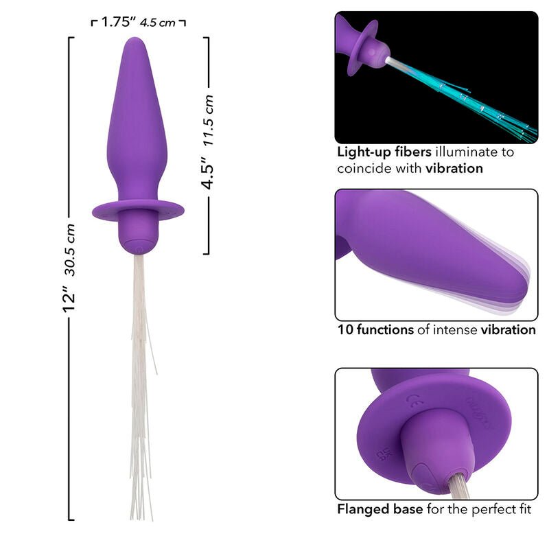 CALEXOTICS - SOUTHERN LIGHTS LIGHT UP ANAL PLUG 10 VIBRATIONS SILICONE PURPLE - Kink&Play