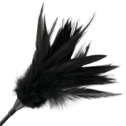 DARKNESS - BLACK FEATHER WHIP - Kink&Play