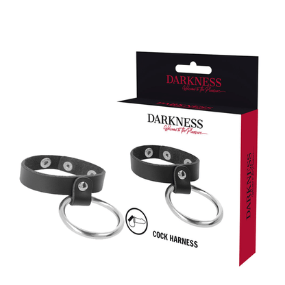 DARKNESS - METAL RING FOR THE PENIS AND TESTICLES - Kink&Play