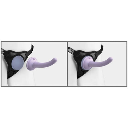 DILLIO - BODY DOCK VIOLET HARNESS - Kink&Play