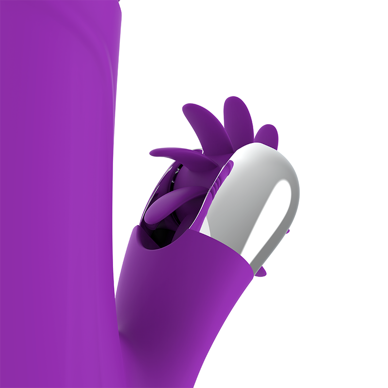 FUN FUNCTION - RABBIT 2.0
