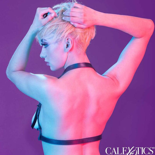CALEXOTICS - EUPHORIA HALTER BUCKLE HARNESS SVART
