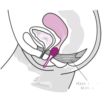 FUN FACTORY - SMARTBALL UNO BÄCKENBOLL VIT / GRÖN PISTAGENÖT