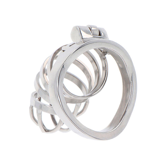 HIDDEN DESIRE - EXTREM KYSKHET KUKBUR METALL