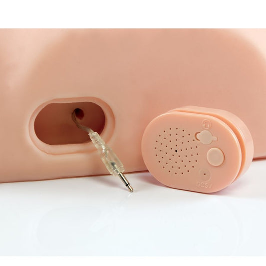 PDX MAN - INTERAKTIV KNULLA HONOM DUMMA