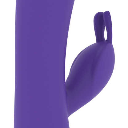 MR BOSS - AITOR RABBIT COMPATIBLE WITH WATCHME WIRELESS TECHNOLOGY - Kink&Play